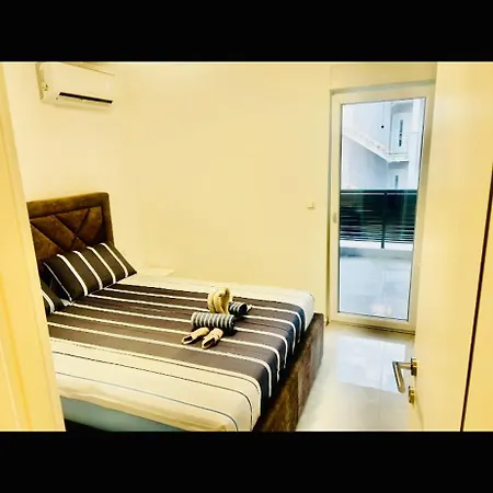 With Swimming Pool Lagotto