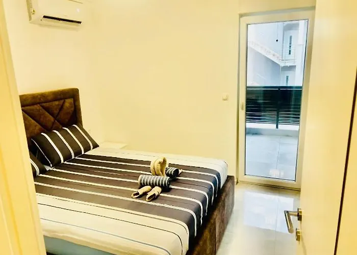 With Swimming Pool Lagotto